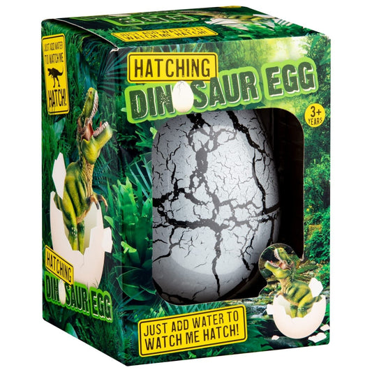 Hatching Dinosaur Egg - Amazing, just add water to watch me hatch! Fun gift