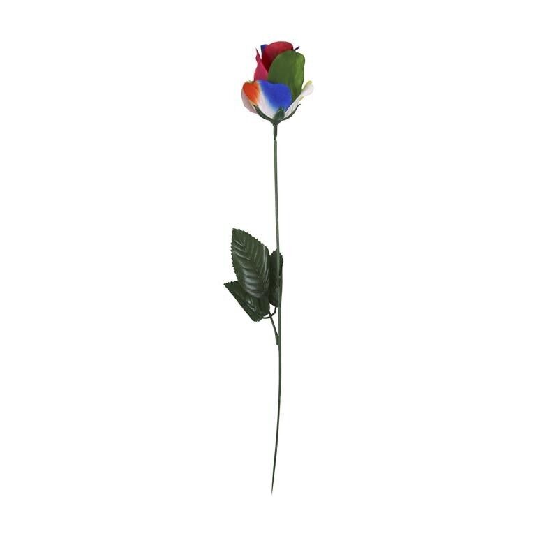 Rainbow Rose in Acetate: The Perfect Valentine's Day Gift